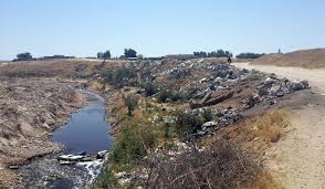 كارثة بيئية تطال وداي غزة بسبب النفايات الصلبة.. ورئيس البلدية