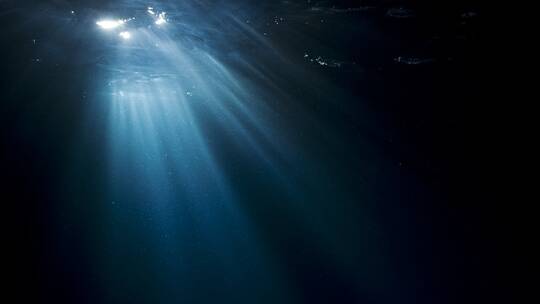 “كائنات غريبة تحت الماء” تعيش في حرارة دون الصفر يصوّرها غواص مغامر