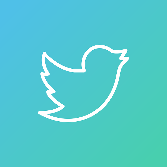 سيعيد تويتر إطلاق برنامج التحقق الخاص به العام المقبل