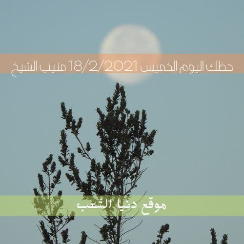 توقعات برج الحظ اليوم الخميس 18/2/2021 منيب الشيخ | والأبراج اليوم 18 فبراير 2021
