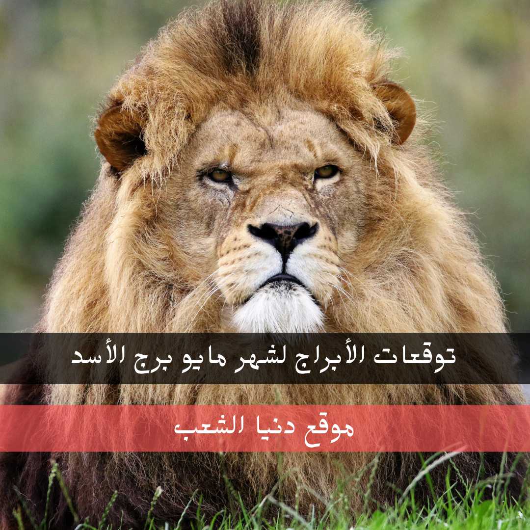 توقعات الأبراج لشهر مايو/ أيار جاكلين عقيقي برج الأسد