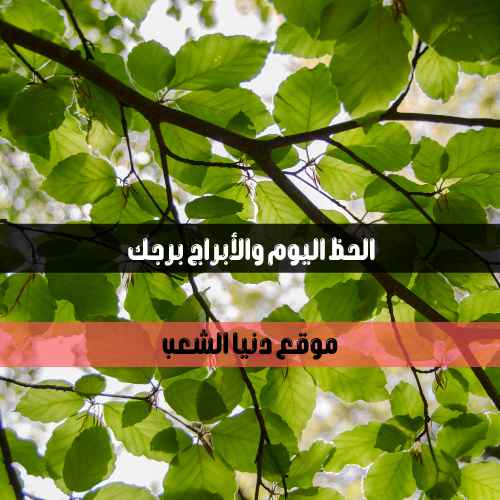 حظك اليوم الأثنين 31/5/2021 برجك / أبراج يومية 31 مايو 2021 / برجك