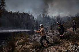 تركيا تسيطرعلى أغلب حرائق الغابات